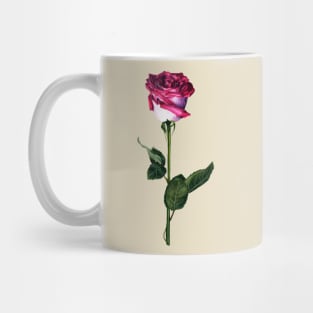 Pink and white rose Mug